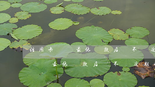 信用卡選擇最低還款后會不會逾期-信用卡選擇最低還款后會不會逾期呢