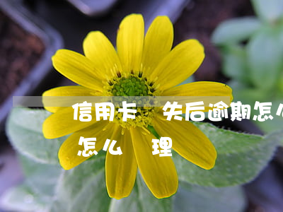 信用卡遺失后逾期怎么辦(信用卡遺失后逾期怎么辦理)