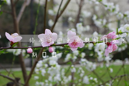信用卡避免逾期解決方法(如何解決信用卡逾期問題)