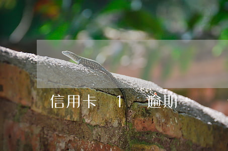 信用卡還1萬逾期(一萬塊信用卡逾期一年)
