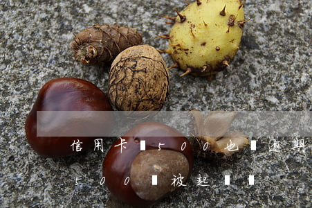 信用卡還500也會逾期(信用卡逾期每月還500會被起訴嗎)