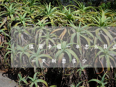 信用卡還一半怎么算逾期利息(信用社卡逾期一天利息多少?)