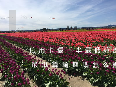 信用卡還一半最低算逾期嗎-信用卡還一半最低算逾期嗎怎么辦