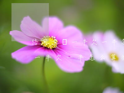 信用卡還一半欠一半怎么算利息-信用卡還一半欠一半怎么算利息的