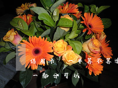 信用卡還一半算不算逾期(信用卡逾期了先還一部分可以嗎?)