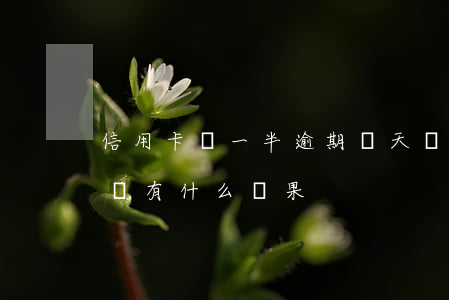 信用卡還一半逾期兩天(兩個月信用卡逾期不還有什么結果)