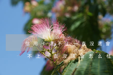 信用卡還不上一直沒還會怎么樣-信用卡還不上一直沒還會怎么樣嗎