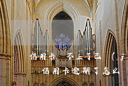 信用卡還不上了已經(jīng)逾期怎么辦(信用卡 逾期了怎么辦)