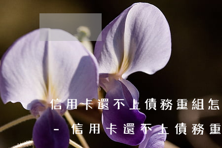 信用卡還不上債務重組怎么協(xié)商-信用卡還不上債務重組怎么協(xié)商還款