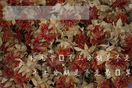 信用卡還不上分期是不是最劃算-信用卡還不上分期是不是最劃算的