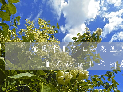 信用卡還不上利息是怎么收費(fèi)的-還不起信用卡利息怎么辦