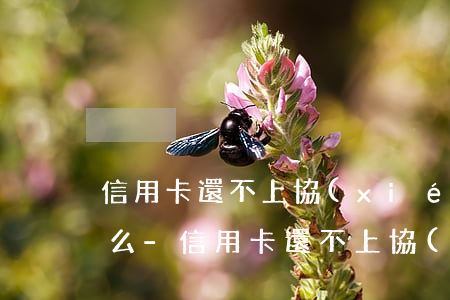信用卡還不上協(xié)商還款會上征信么-信用卡還不上協(xié)商還款會上征信么嗎