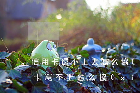 信用卡還不上去怎么協(xié)商(欠信用卡還不上怎么協(xié)商)