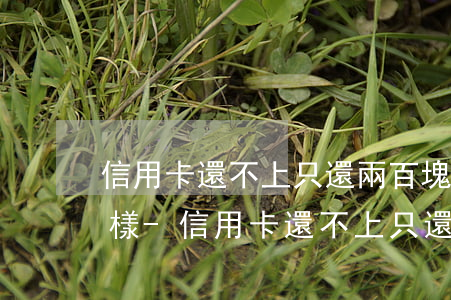 信用卡還不上只還兩百塊會(huì)怎么樣-信用卡還不上只還兩百塊會(huì)怎么樣嗎