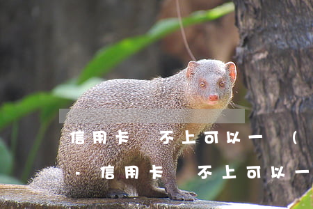 信用卡還不上可以一個(gè)月還一百嗎-信用卡還不上可以一個(gè)月還一百嗎怎么辦