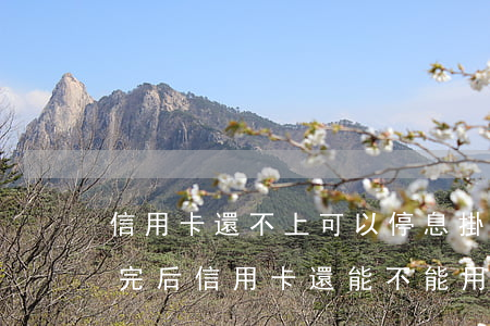 信用卡還不上可以停息掛賬嗎-停息掛賬還完后信用卡還能不能用