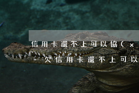 信用卡還不上可以協(xié)商慢慢還嗎?-欠信用卡還不上可以協(xié)商還款嗎