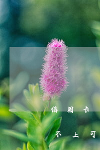 信用卡還不上可以去平安貸款嗎-信用卡還不上可以去平安貸款嗎安全嗎