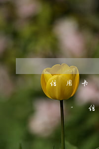 信用卡還不上可以去找銀行協(xié)商嗎-信用卡還不上可以去找銀行協(xié)商嗎