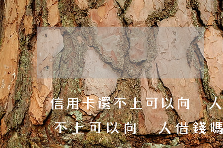 信用卡還不上可以向別人借錢嗎-信用卡還不上可以向別人借錢嗎安全嗎