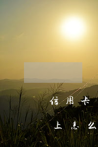信用卡還不上可以申請分期還嗎(信用卡還不上怎么申請分期)