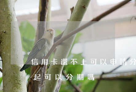 信用卡還不上可以申請分期還嗎(信用卡還不起可以分期嗎)