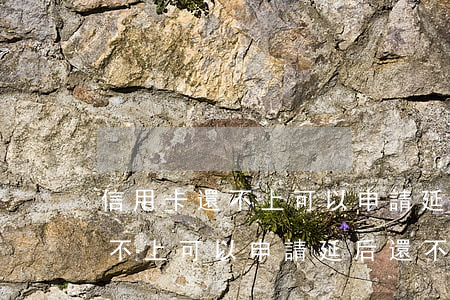 信用卡還不上可以申請延后還不-信用卡還不上可以申請延后還不了款嗎