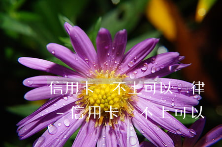 信用卡還不上可以請律師協(xié)商嗎-信用卡還不上可以請律師協(xié)商嗎