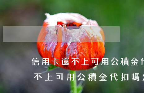 信用卡還不上可用公積金代扣嗎-信用卡還不上可用公積金代扣嗎怎么辦