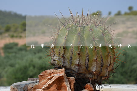 信用卡還不上后果是什么(信用卡不還啥后果)