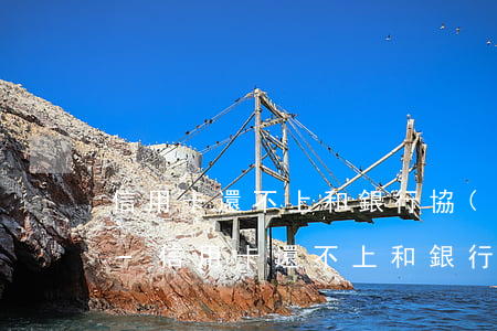 信用卡還不上和銀行協(xié)商管用嗎-信用卡還不上和銀行協(xié)商管用嗎怎么辦