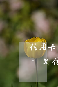 信用卡還不上嚴(yán)重的會判幾年刑-欠信用卡還不上會判刑嗎