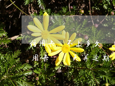 信用卡還不上多久會(huì)算逾期(還信用卡過幾天算逾期)