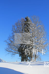 信用卡還不上多久會被起訴(信用卡還不起多久會被起訴)