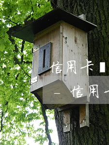 信用卡還不上如何規(guī)避法律風險-信用卡還不上如何規(guī)避法律風險呢