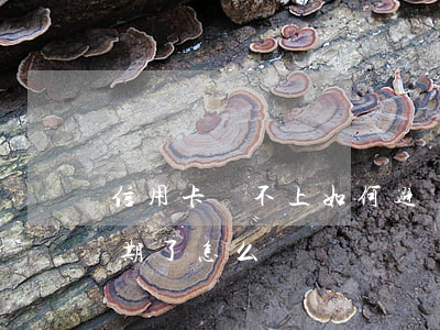信用卡還不上如何避開逾期(不小心信用卡逾期了怎么辦)