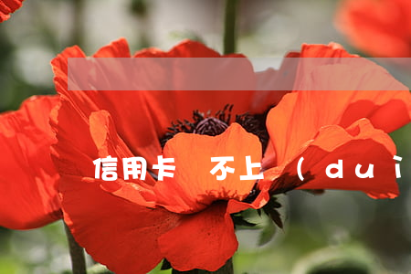 信用卡還不上對(duì)子女兒孫有影響嗎