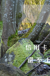 信用卡還不上怎么處理(名下有房有車信用卡還不上怎么處理)