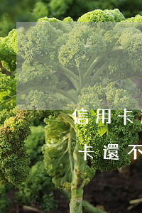 信用卡還不上怎么辦法院會起訴嗎-欠信用卡還不上法院會怎么判