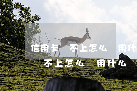 信用卡還不上怎么辦用什么辦法解決(信用卡還不上怎么辦用什么辦法解決電話)