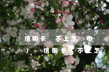 信用卡還不上怎樣申請個人破產(chǎn)-信用卡還不上怎樣申請個人破產(chǎn)賬戶