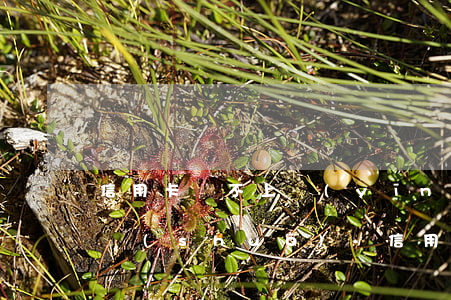 信用卡還不上應(yīng)該怎么和銀行說(shuō)-信用卡還不上應(yīng)該怎么和銀行說(shuō)話