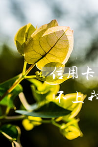 信用卡還不上我怎么和爸媽溝通-信用卡還不上我怎么和爸媽溝通呢