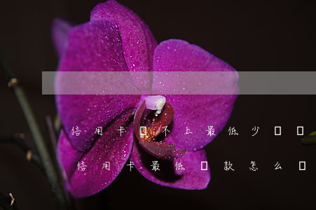 信用卡還不上最低少還銀行不同意-還不了信用卡最低還款怎么辦