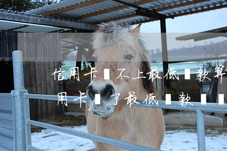 信用卡還不上最低還款算不算逾期(為什么信用卡還了最低還款還說逾期)