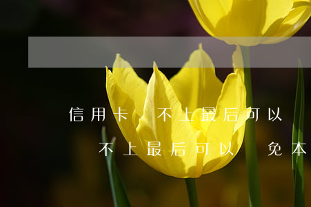 信用卡還不上最后可以減免本金嗎-信用卡還不上最后可以減免本金嗎怎么辦