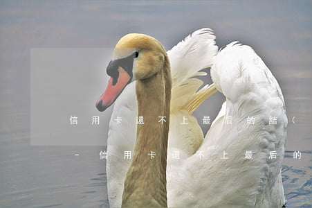 信用卡還不上最后的結(jié)果是什么-信用卡還不上最后的結(jié)果是什么意思