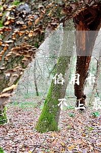 信用卡還不上最好的辦法是什么-信用卡還不上最好的辦法是什么呢