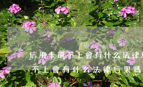 信用卡還不上會有什么法律后果-信用卡還不上會有什么法律后果嗎