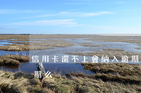 信用卡還不上會納入逾期(信用卡不還完算逾期么)